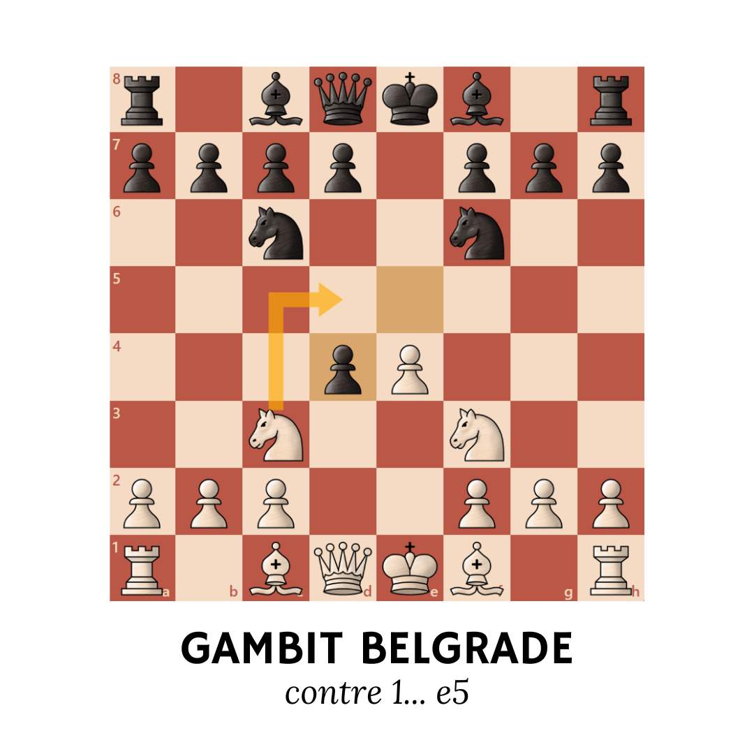 Gambit Belgrade - Répertoire d'Attaque contre 1... e5 - MI Thibault Dudognon