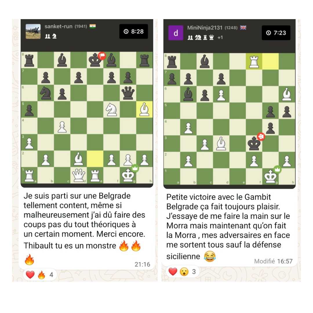 Gambit Belgrade - Répertoire d'Attaque contre 1... e5 - MI Thibault Dudognon