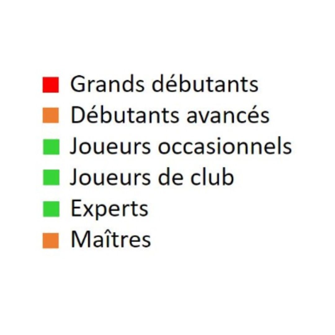 Comprendre le Milieu de Partie - Livre d'échecs - Niveau Intermédiaire