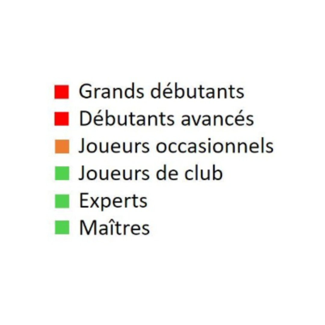 Jouez 1.e4 e5 ! - Livre d'échecs - Niveau Avancé