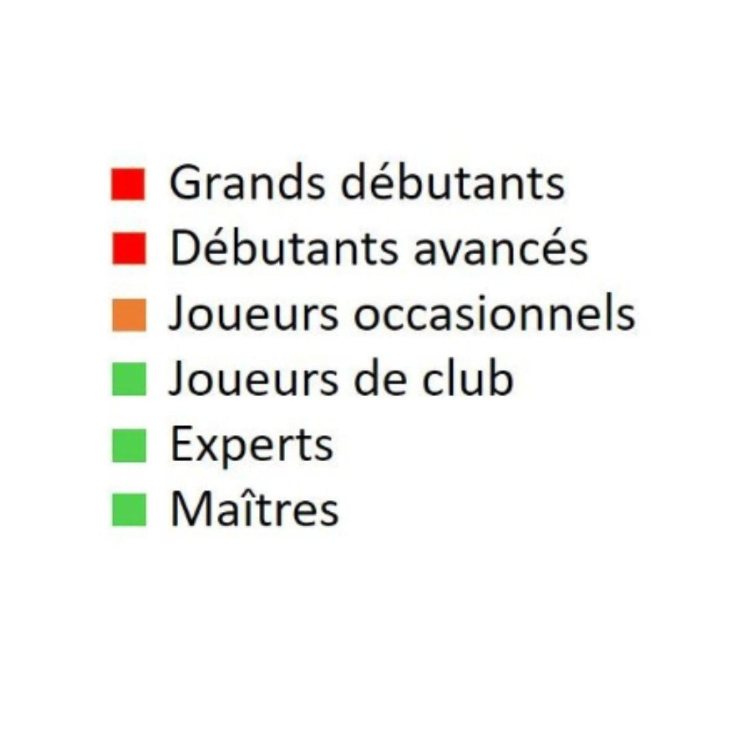 La Française dynamique - Livre d'échecs - Niveau Avancé