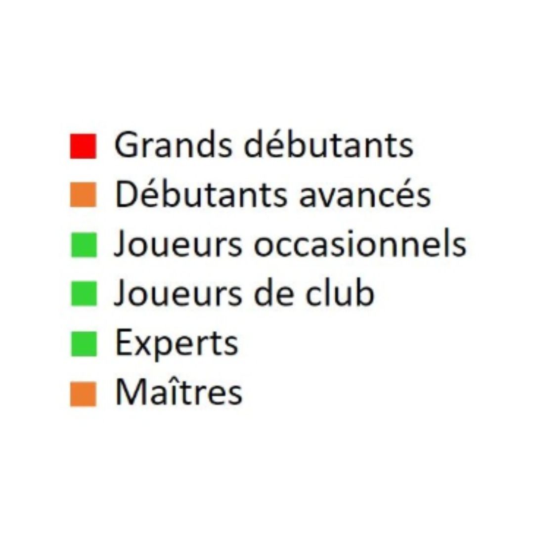 Maîtriser les Ouvertures - Tome 1 - Livre d'échecs - Niveau Intermédiaire