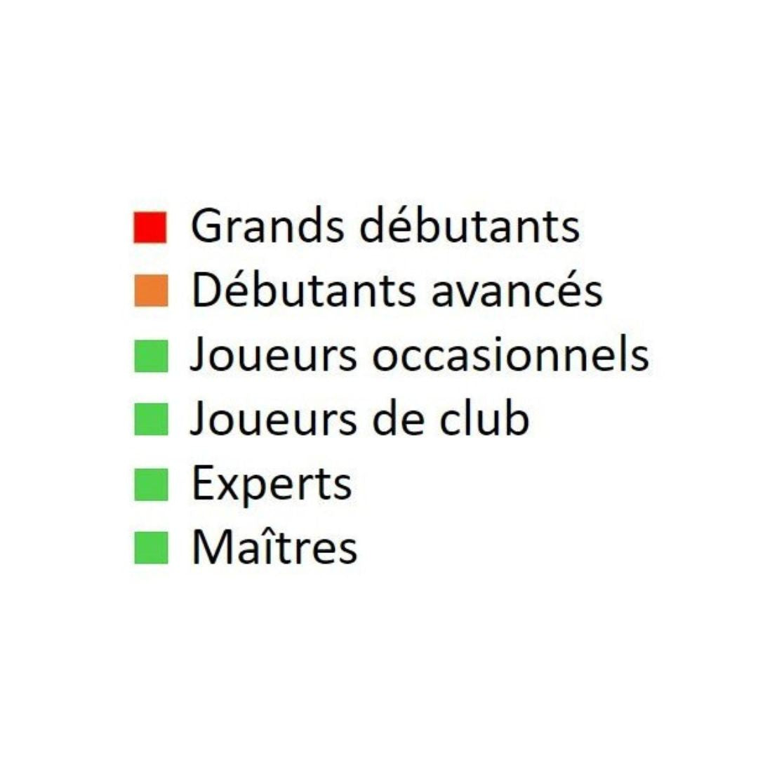 Objectif grand maître ! - Le jeu positionnel aux échecs - J. Aagaard - Livre d'échecs - Niveau avancé